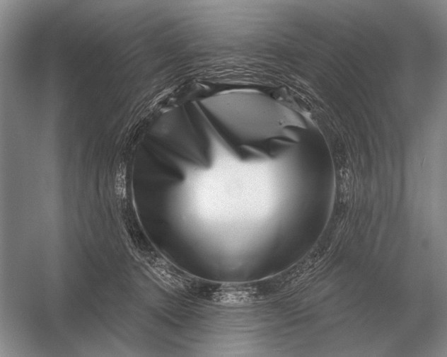 X0000056370368200509161900