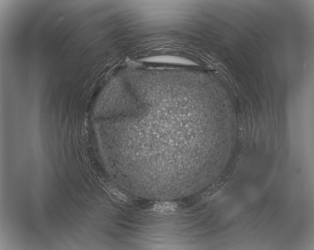 X0000056370369200509161900