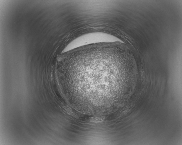 X0000056370373200509161900