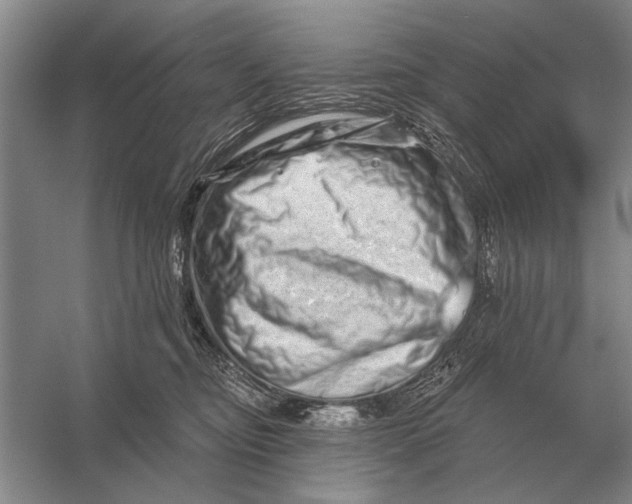 X0000056370374200509161900