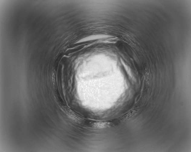 X0000056370375200509161901