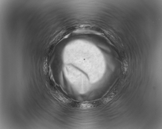 X0000056370376200509161901