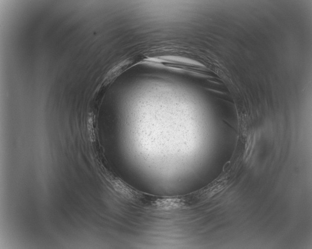 X0000056370378200509161901