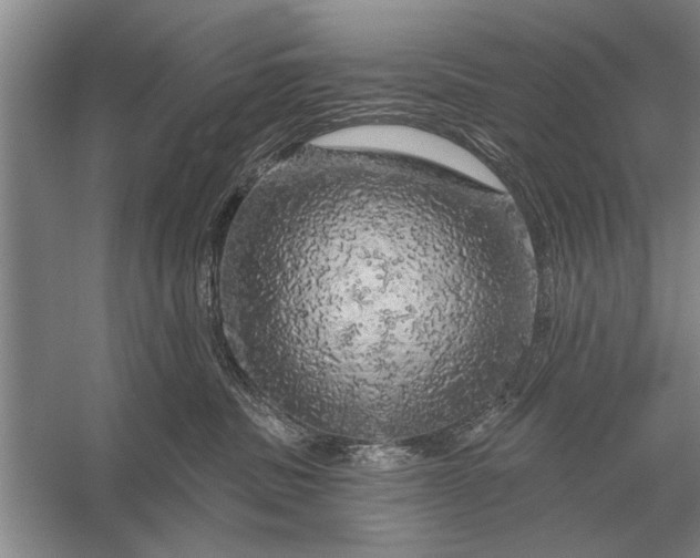 X0000056370379200509161901