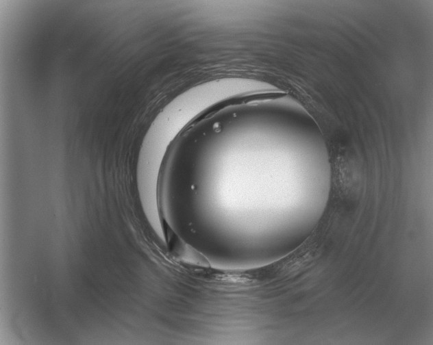 X0000056370380200509161901