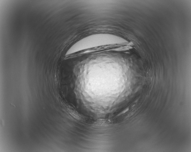 X0000056370381200509161901