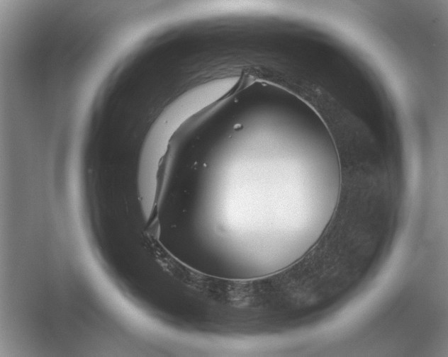 X0000056370382200509161901