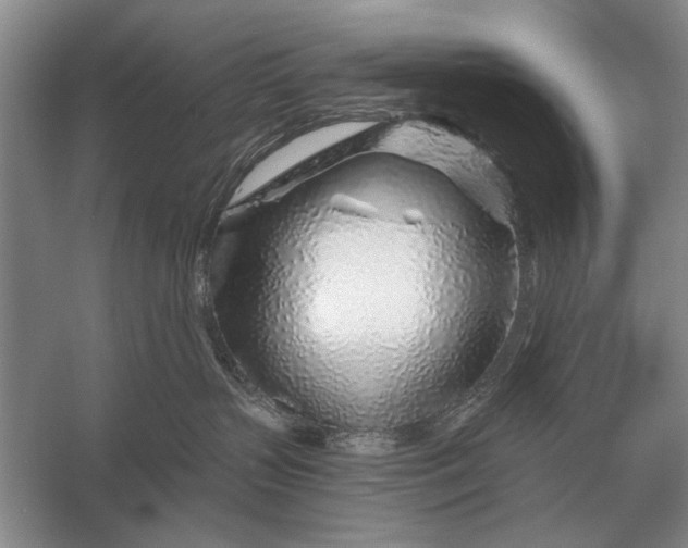 X0000056370383200509161901