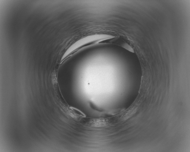 X0000056370384200509161901