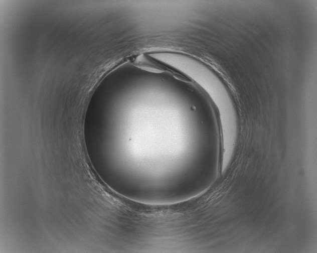 X0000056370385200509161900