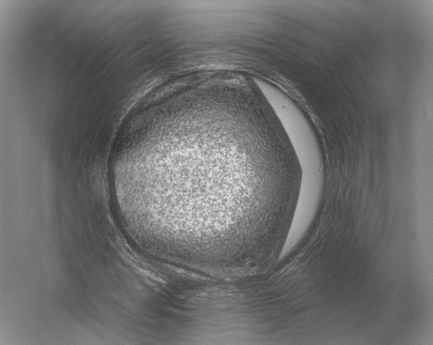 X0000056370386200509161900