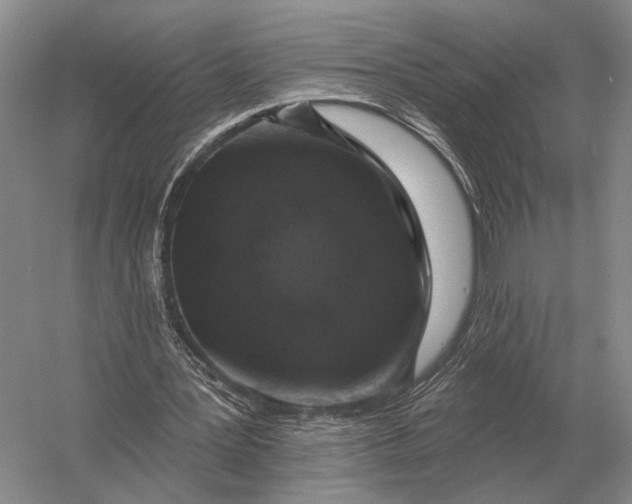 X0000056370387200509161900