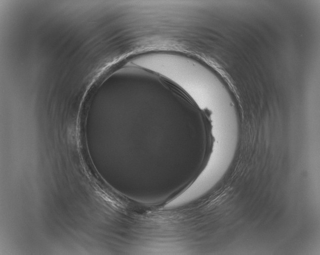 X0000056370391200509161900