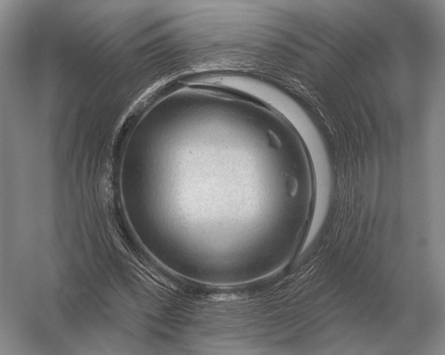 X0000056370392200509161900