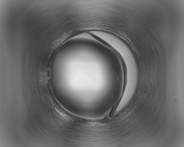 X0000056370393200509161900