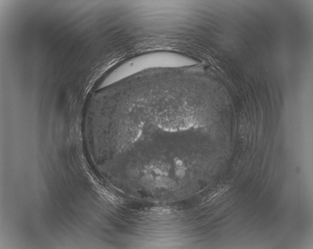 X0000056370394200509161900