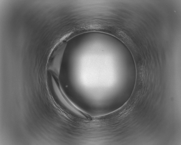 X0000056370395200509161900