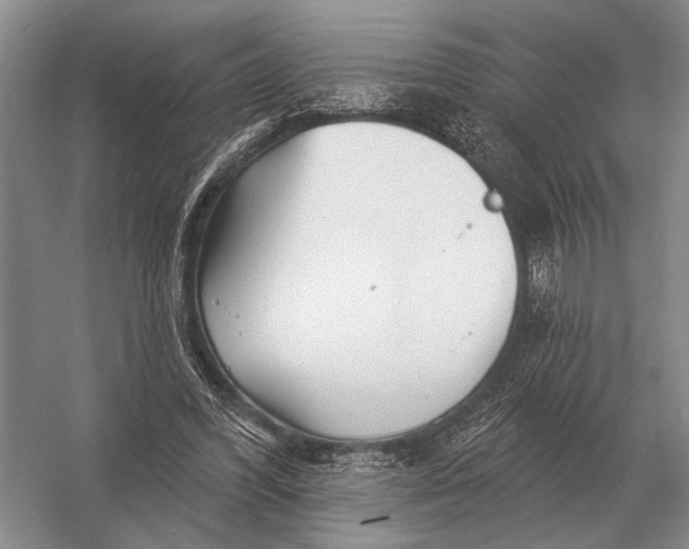 X0000056370396200509161900