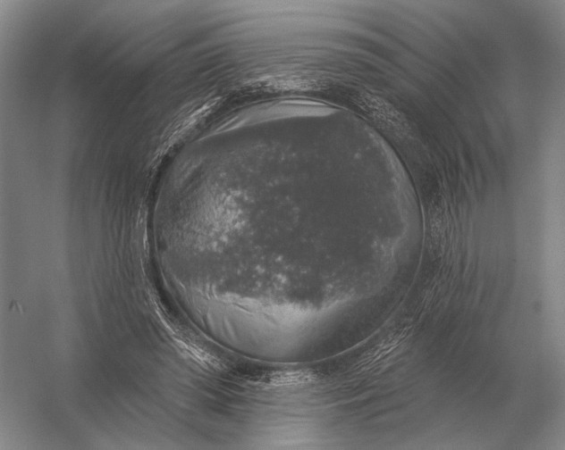 X0000056370398200509161900