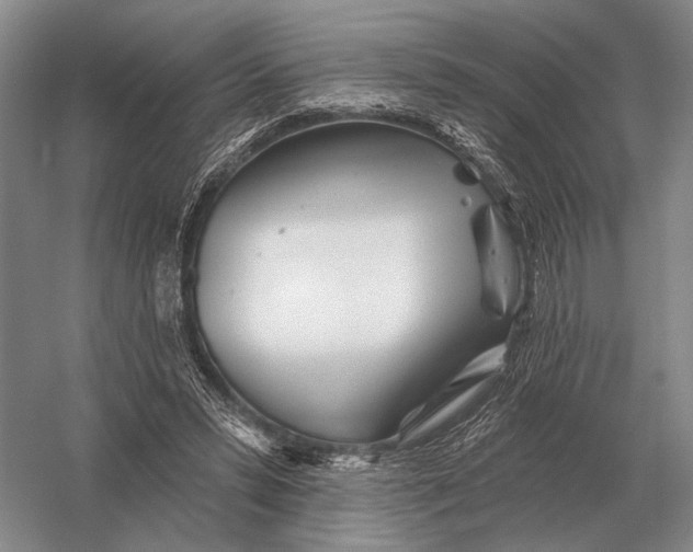 X0000056370399200509161900