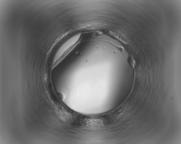 X0000056370400200509161900