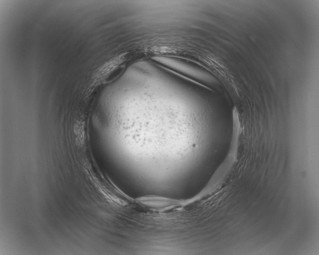 X0000056370401200509161900