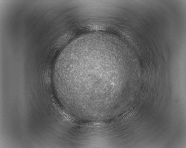 X0000056370402200509161900