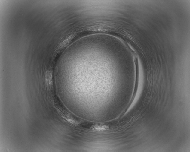 X0000056370403200509161900