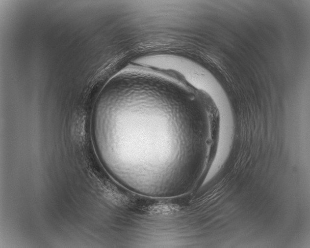 X0000056370404200509161900