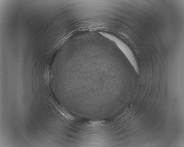 X0000056370405200509161900