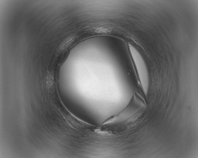 X0000056370407200509161859