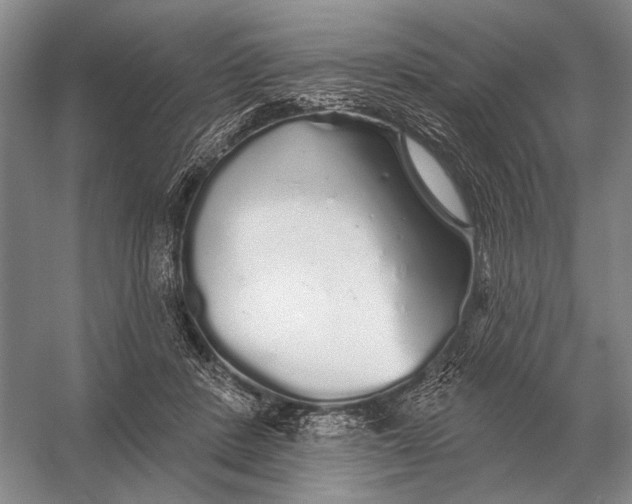 X0000056370408200509161859