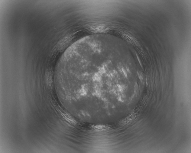 X0000056370409200509161859