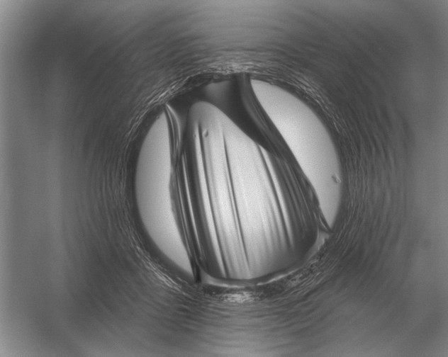 X0000056370411200509161859