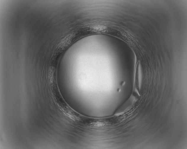 X0000056370412200509161859