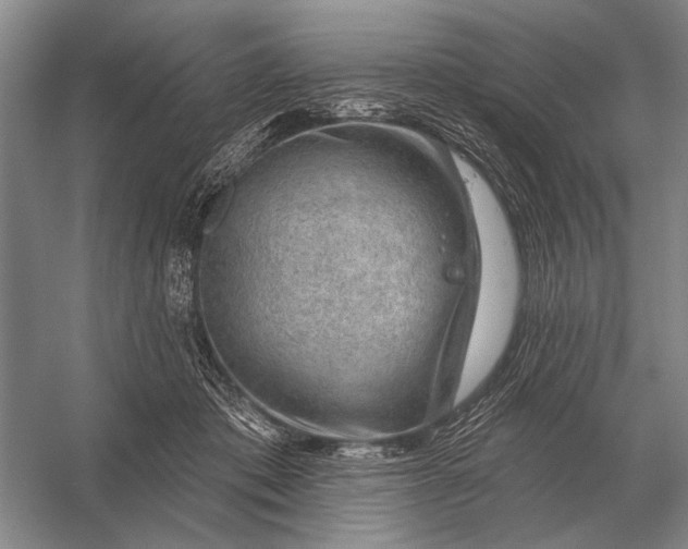 X0000056370413200509161859