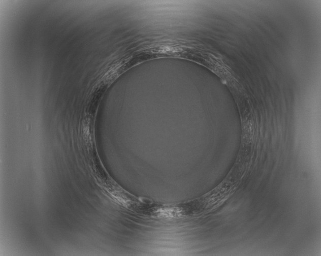 X0000056370415200509161859