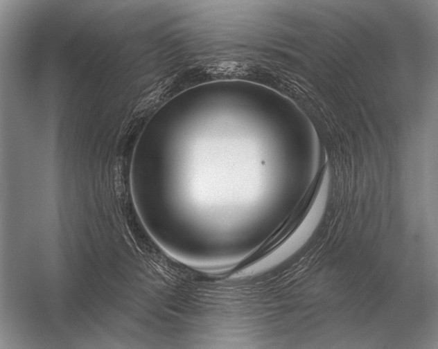 X0000056370416200509161859