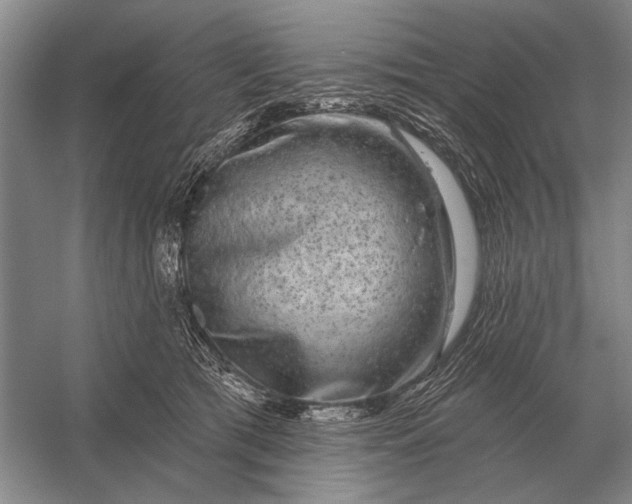 X0000056370417200509161859