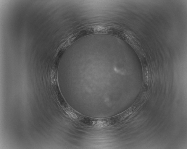 X0000056370419200509161859