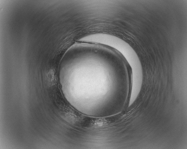 X0000056370420200509161859