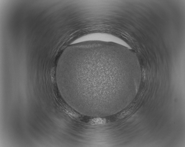 X0000056370421200509161859