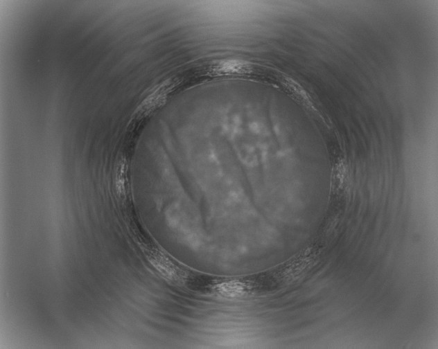 X0000056370423200509161859