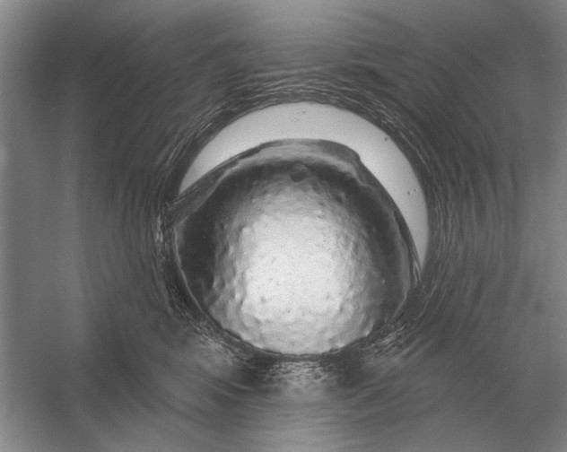 X0000056370424200509161859