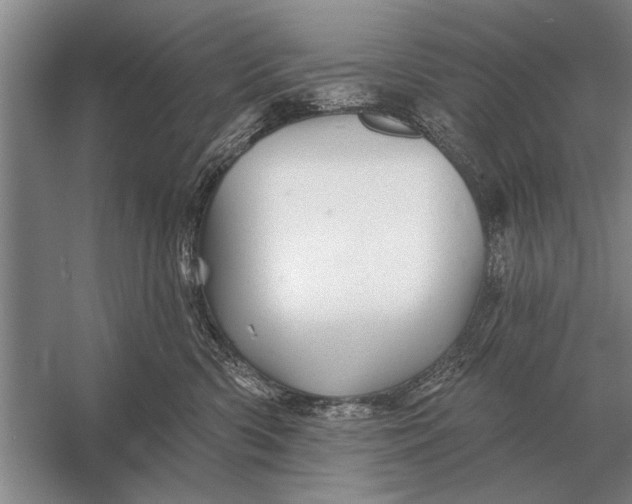 X0000056370426200509161859