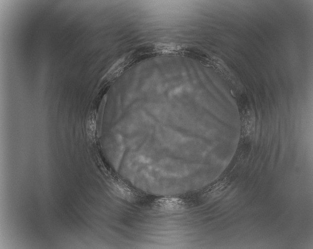 X0000056370427200509161859