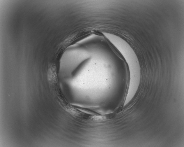 X0000056370429200509161859