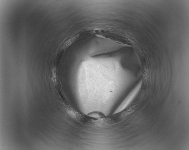 X0000056370430200509161859