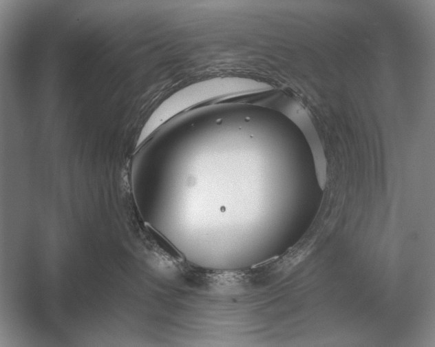 X0000056370432200509161859