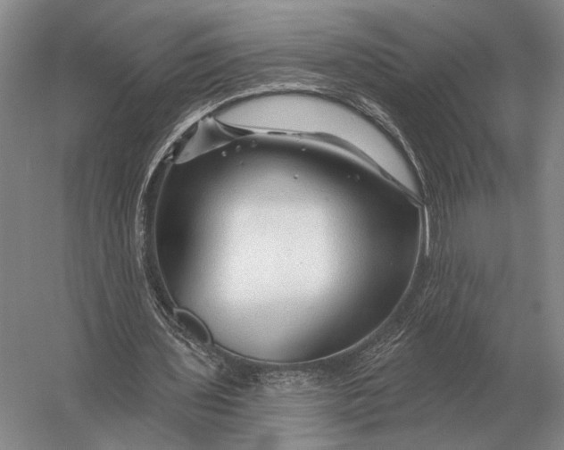 X0000056370435200509161858